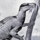 sshhh-thedragonaresleeping avatar