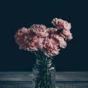 ssimplesilver avatar