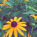 sskinnylegenddd avatar