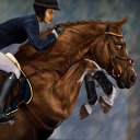 sso-silverbrooke avatar