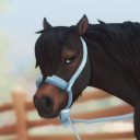 ssoblrs-favorite-horse avatar