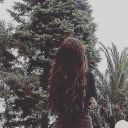 ssollucetomnibus avatar