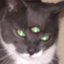 ssouer avatar