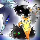 sss-warriorcats avatar