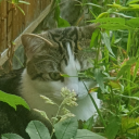 sssoulj4hwitch avatar