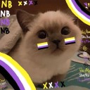 sssssehnsucht avatar