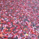 sstaay-golden avatar