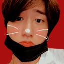 sstraykids avatar