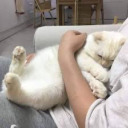 ssubconscious avatar