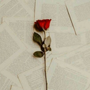 ssweet-serendipia avatar