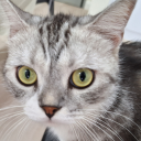 ssweetdelusions avatar