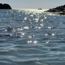 ssweetdisposiition avatar