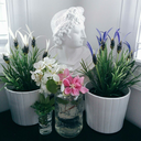 st-udies-blog avatar