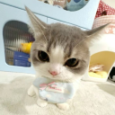 st4rsz-4-life avatar