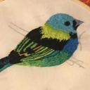 staby-stab-stab avatar