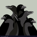 stackofcrows avatar