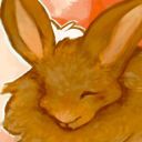 stackorabbits avatar