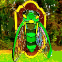 stained-glass-cicada avatar