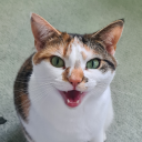 stained-glass63 avatar