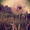 stainedinamemory avatar