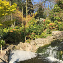 stainedrosegold avatar