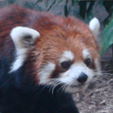 stairwayspiral avatar