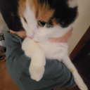 stalkerperson avatar