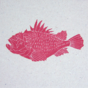 stampingpumpkins avatar