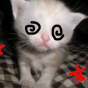 stampsthemeow avatar