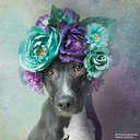 stand-by-waiting-for-takeoff avatar