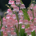 standamianwayne avatar