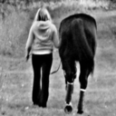 standardbredhorses-blog avatar