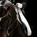 standbydressage-blog-blog avatar