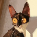 standingpillar avatar