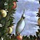 stanley-rocket avatar