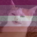 stanleyyelnatsthe4th avatar