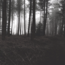 stapletit-blog avatar