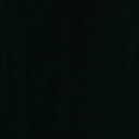 star-filled-wings avatar