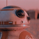 star-flower-r avatar