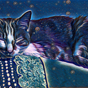 star-light-house avatar