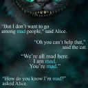 star-lighttodust avatar