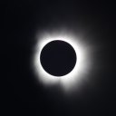 star-orchestra avatar