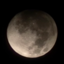 star-sailor-tales avatar