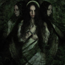 star-solstice avatar