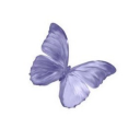 star1117-archives avatar