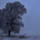 staracewrites avatar