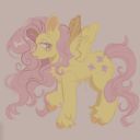 staranise-fluttershyx3 avatar