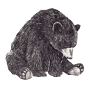 starbellybear avatar