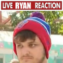 starbirdsonthebat avatar