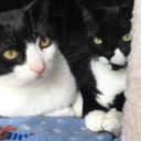 starbuckandtex avatar